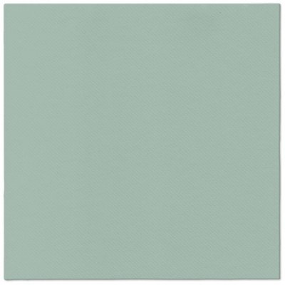PAW Ubrousky AIRLAID Monocolor Light Green 40x40cm – Sleviste.cz