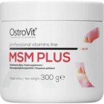Ostrovit MSM plus 300 g – Hledejceny.cz