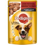 Pedigree hovězí a jehněčí 100 g – Hledejceny.cz