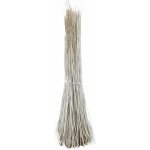vrbové proutí do 160cm bělené 5116003 – Zboží Dáma