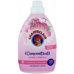 Chante Clair ammorbidente concentrati peonia e magnolia Avivážní koncentrovaný prostředek 1 000 ml – Zboží Dáma