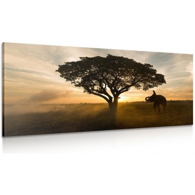 Obraz slon při východu slunce - 100x50 cm – Zboží Mobilmania