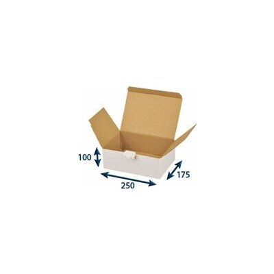 Europapier Poštovní krabice 250 × 175 × 100 mm 10 ks bílá – Zboží Živě