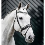 HORSEWARE Diamante se švédským nánosníkem černá /silver – Zboží Dáma
