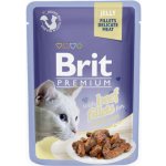 Brit cat Premium Fillets jelly Beef 85 g – Zboží Mobilmania