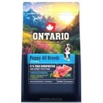 Ontario Puppy & Junior All Breeds Monoprotein Turkey & Sweet Potatoes 0,75 kg – Hledejceny.cz