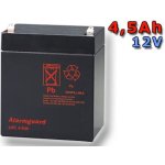 Alarmguard 12V 4,5Ah CJ12-4,5 – Zboží Živě
