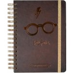 CurePink Poznámkový blok Harry Potter: Brýle Kroužková vazba A5 14,8 x 21,0 cm CTFBA50020 – Hledejceny.cz