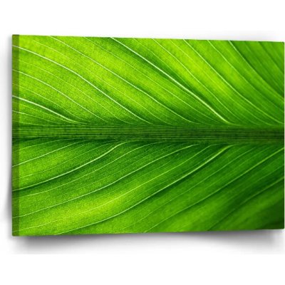 Sablio Obraz List 2 - 120x80 cm – Hledejceny.cz