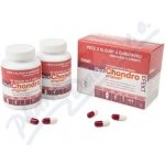 Pragomed ProfiChondro Original Efekt tablet 2 x 90 – Hledejceny.cz