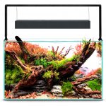 Aquael UltraScape set 60 forest 60 x 30 x 36 cm – Sleviste.cz