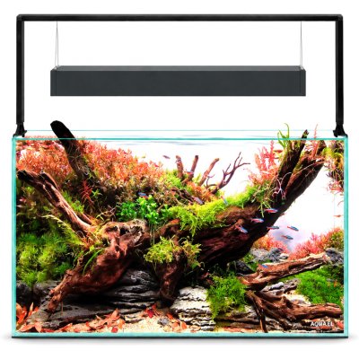 Aquael UltraScape set 60 forest 60 x 30 x 36 cm – Sleviste.cz