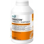 Equazen 360 tablet – Sleviste.cz