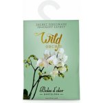 Boles D´olor Vonný sáček velký papírový 12 x 17 x 0,3 cm Wild Orchid – Hledejceny.cz