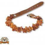 Marius Sliazas Proprietorship Jantarový obojek – Hledejceny.cz