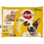 Pedigree Junior 4 x 100 g – Hledejceny.cz