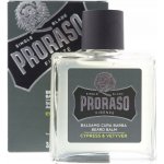 Proraso Cypress and Vetyver balzám na vousy 100 ml – Zboží Mobilmania