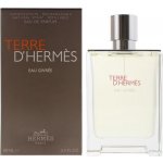 Hermès Terre d’Hermès Eau Givrée parfémovaná voda pánská 100 ml plnitelný flakon – Sleviste.cz