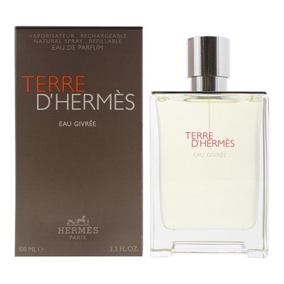 Hermès Terre d’Hermès Eau Givrée Refillable parfémovaná voda pánská 100 ml – Hledejceny.cz