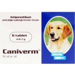 Caniverm forte tbl 6 x 0,7 g – Sleviste.cz