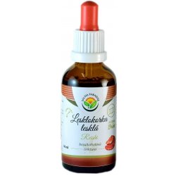 Salvia Paradise Lesklokorka lesklá AF tinktura 50 ml