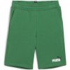 Dětské kraťasy a šortky Puma ESS+ 2 Col Shorts TR J 58698986 archive green