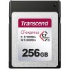 Paměťová karta Transcend 256 GB TS256GCFX600