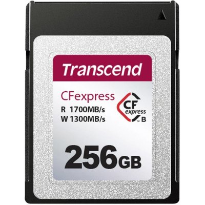 Transcend 256 GB TS256GCFX600 – Zboží Živě