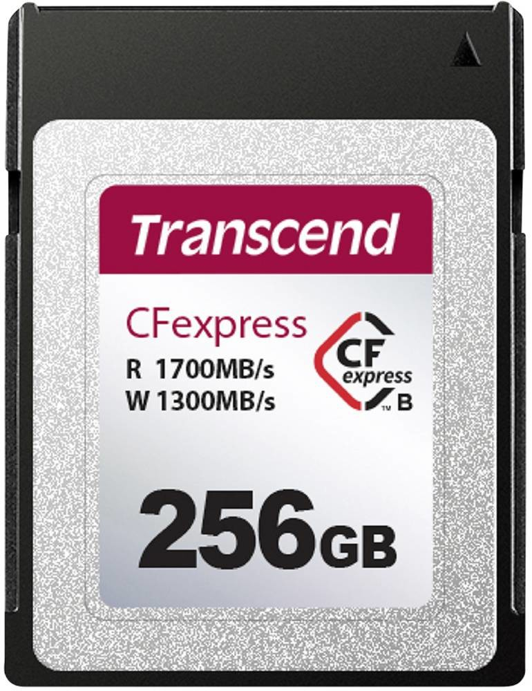 Transcend 256 GB TS256GCFX600