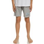 Quiksilver Easy Day SEYH/Light Grey Heather – Hledejceny.cz