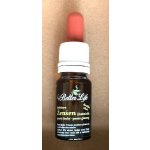 4betterlife výluh z ženšenu 10 ml – Hledejceny.cz