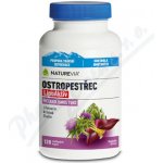 BIOVIT NatureVia Ostropestřec LipoAktiv 120 kapslí – Hledejceny.cz