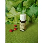 Grešík Pomeranč přírodní Rostlinná silice 10 ml – Hledejceny.cz