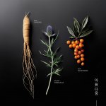 KORIKA Korean Heritage Ginseng & Marine Stem Cells Cell Renew Eye Cream omlazující hydratační krém na oční okolí 15 ml – Hledejceny.cz