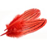 Tommi-Fly Peří Stříbrného Bažanta Čerevné – Hledejceny.cz