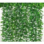 Gardlov 19735 Girlanda břečťan 25,2m – Zboží Dáma Gardlov 19735 Girlanda břečťan 25,2m – Zboží Dáma