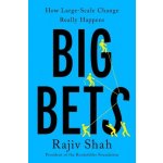Big Bets: How Large-Scale Change Really Happens Shah RajivPevná vazba