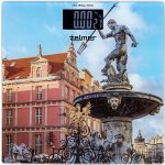 Zelmer ZBS1011 – Zboží Dáma