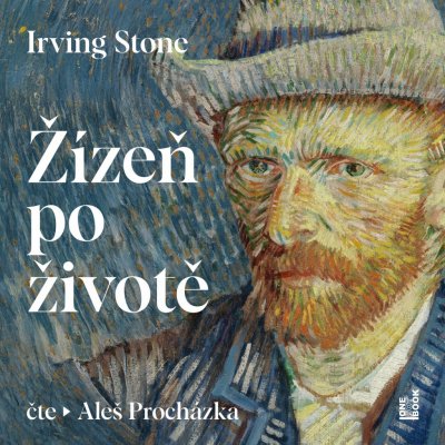 Žízeň po životě - Stone Irving – Zboží Dáma