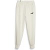 Pánské tepláky Puma Logo Pants FL cl s Alpine Snow