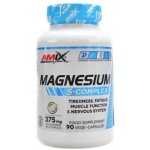 Amix Performance Series Magnesium 5-Complex Chewable Tabs 60 tablet – Hledejceny.cz