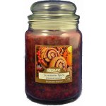 Airpure Cinnamon Spice 510 g – Zboží Mobilmania