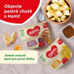 Hami 100% ovoce Jablko švestka 4 x 100 g – Zboží Dáma