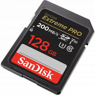 SanDisk SDXC 128 GB SDSDXXD-128G-GN4IN – Zboží Živě