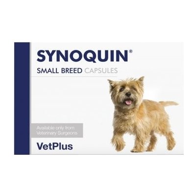Synoquin Small 30 tbl – Hledejceny.cz