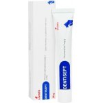 Dentisept 2 mg/g pasta pro psy a kočky 20 g – Zbozi.Blesk.cz