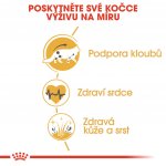 Royal Canin Maine Coon Adult 0,4 kg – Hledejceny.cz