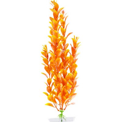 JK Orange ludwigia 25-28 cm – Sleviste.cz