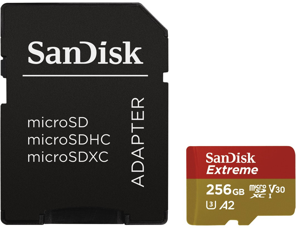 SanDisk SDXC UHS-I U3 256 GB 173484