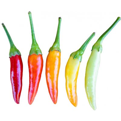 Semínka Piquant Paprička chilli YUCATAN – Hledejceny.cz